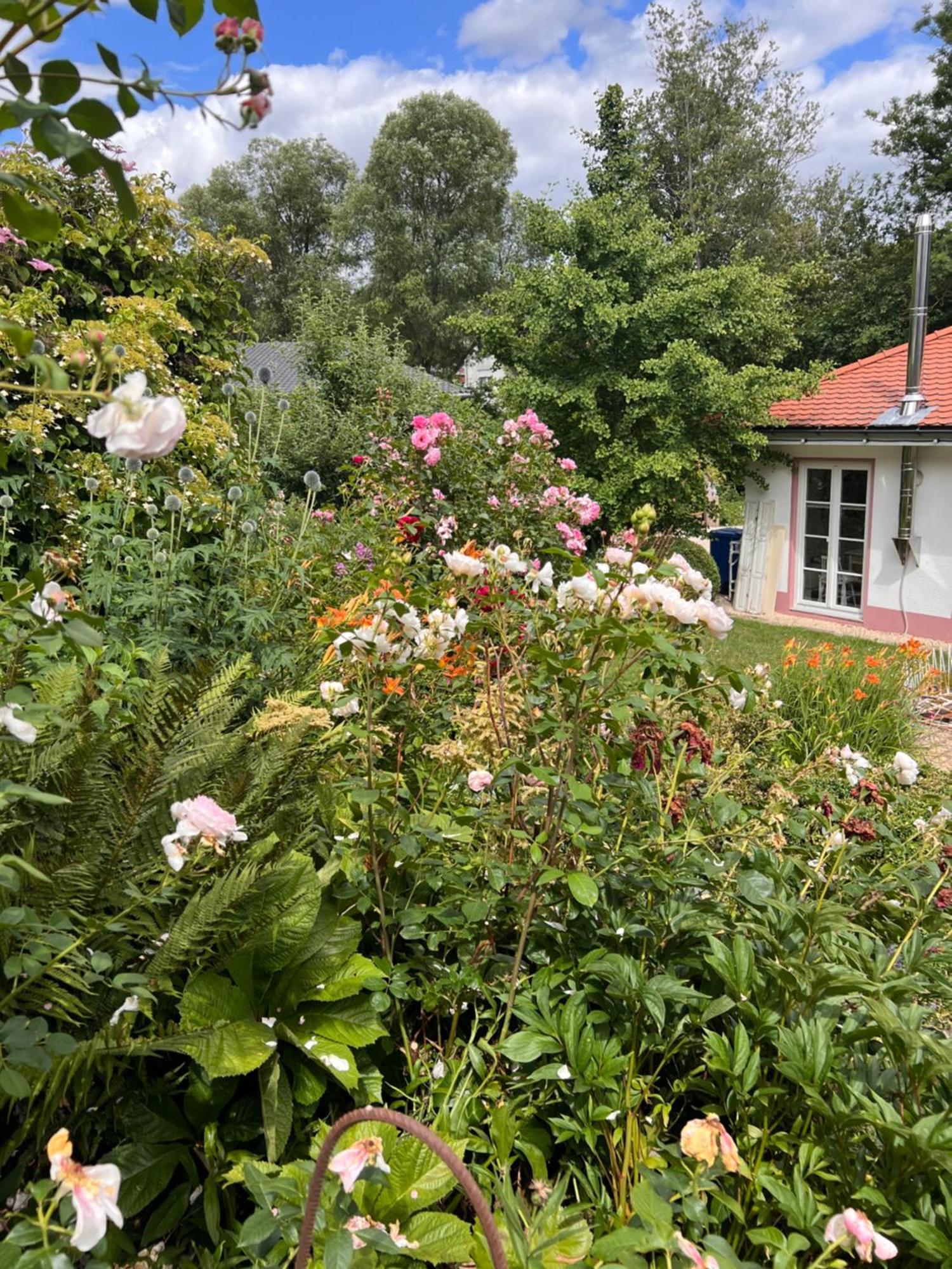 B&B Rosenliebe Niedereschach Esterno foto